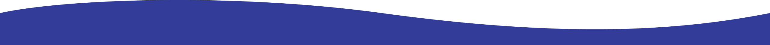 Footer Wave