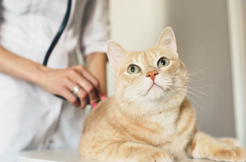 No Two Patients Are the Same No Two Patients Are the Same